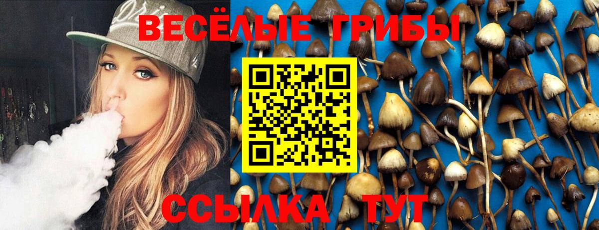 Псилоцибиновые грибы Magic Shrooms  Псилоцибиновые грибы Magic Shrooms  Вход с VPN  Дербент 