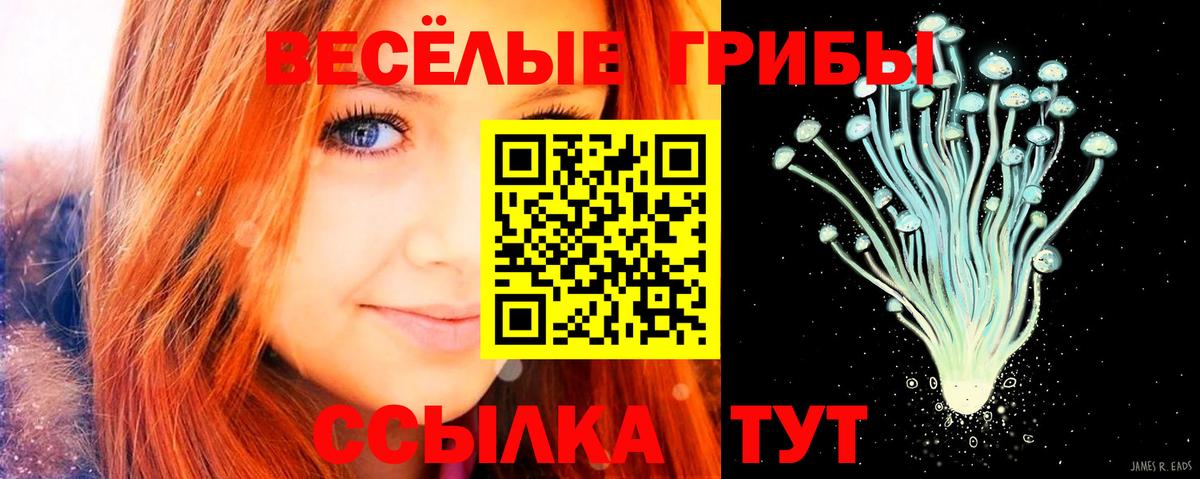 Псилоцибиновые грибы прущие грибы Дербент